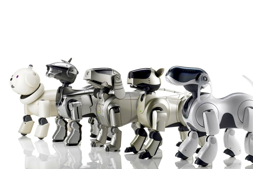 A row of Sony AIBO robot dogs.